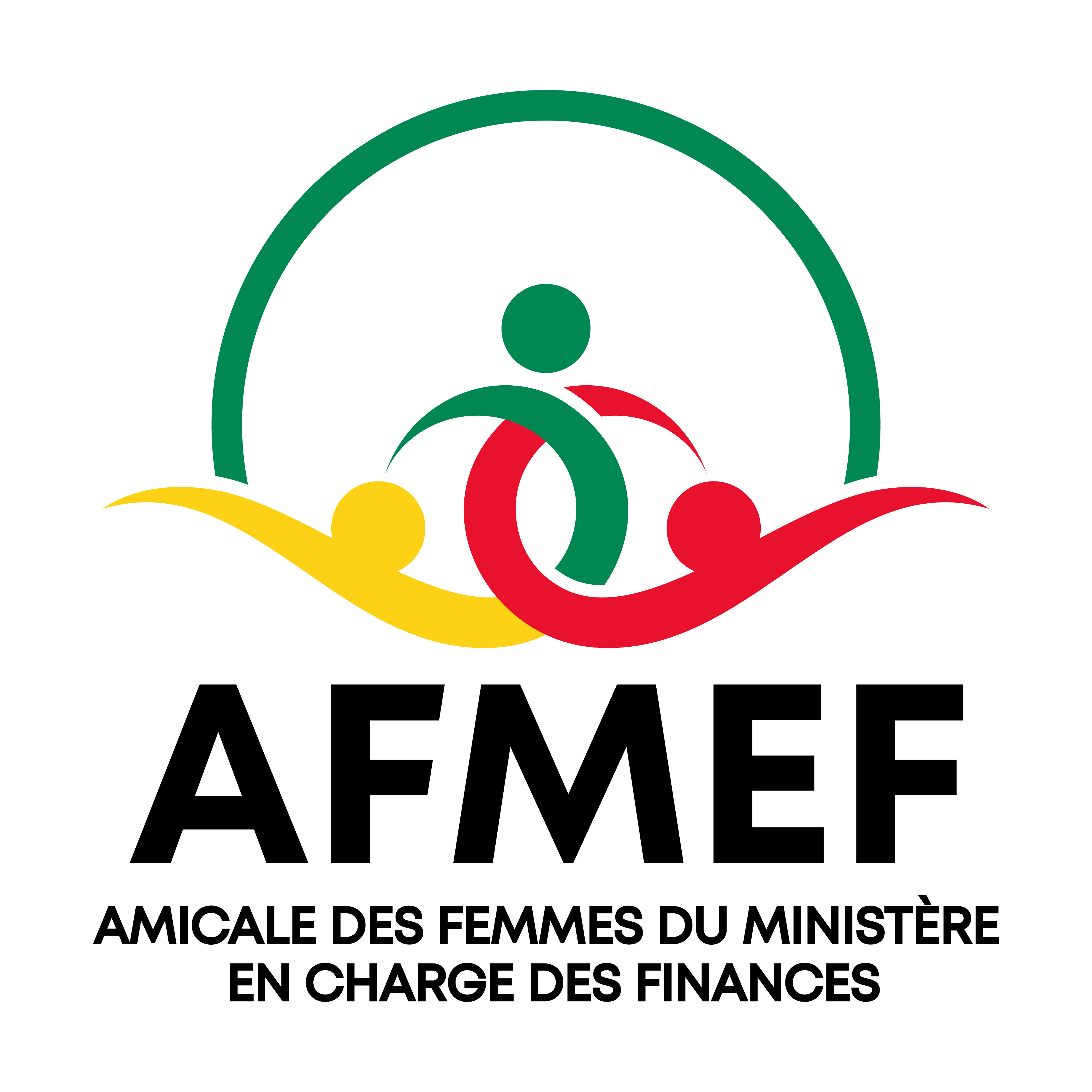 Logo AFMEF